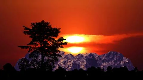 Half sun back red cloud on the sunset sky and silhouette tree on the mountain 库存照片