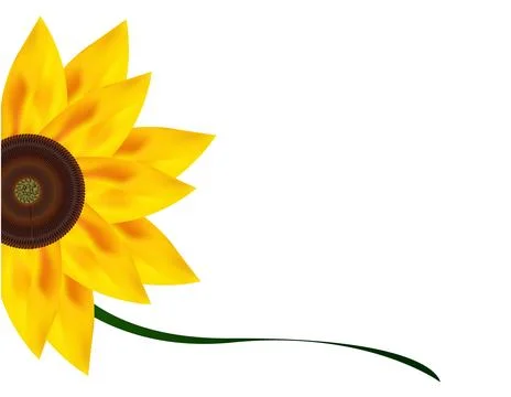 Half sunflower background design Stock Illustration
