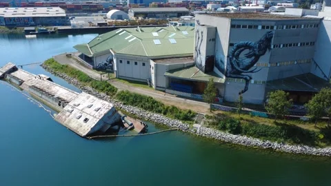 Half-sunken cargo ship next to an industrial building with a large animal mural Video stock 342405851