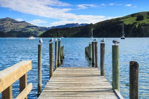 Half-sunken pier serving as a roost for seagulls. Akaroa, New Zealand Stock Photos