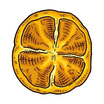 Half sweet bell yellow pepper. Vintage engraving vector black illustration. Stock Illustration