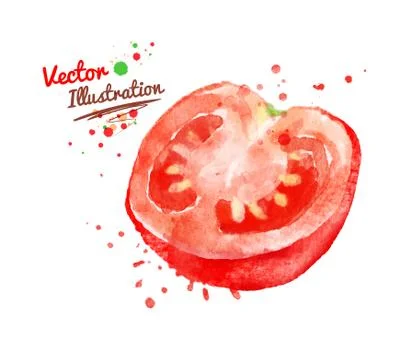 Half of tomato Stock Illustration