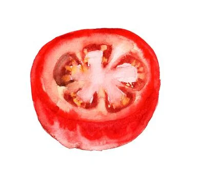 Half of tomato Stock Illustration