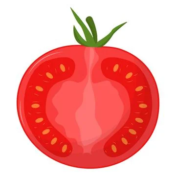 Half of tomato isolated on white background. Flat vector illustration Stock Illustration