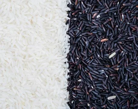Half tone  rice grain Stock Photos