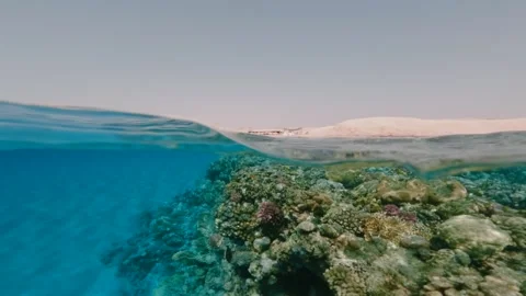 Half underwater coral reef in Red sea and desert coastline. Cinematic slow Stock Footage 337521796