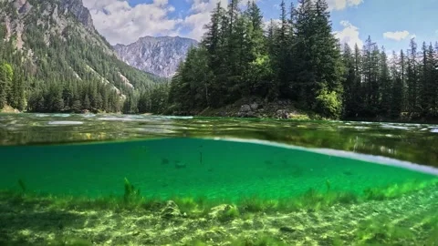 Half underwater shot of mountain lake with clear water in the Alps of Austria Video stock 246798983