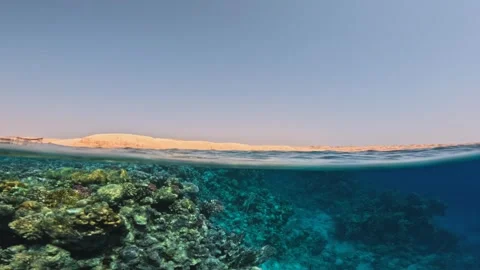 Half underwater slow motion view of coral reef and desert coastline with gentle Stock Footage 325942055
