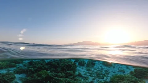 Half underwater split view showing coral reef below and sunset seascape with Stock Footage 324553952