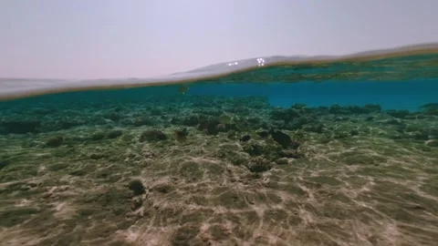 Half underwater view of coral formations and reef fish with sunlight on the Vidéo 337522234
