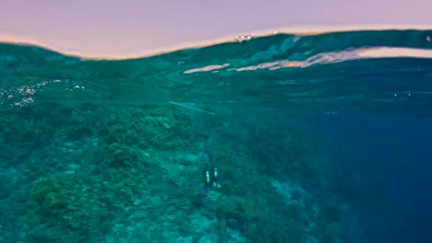 Half underwater view of coral reef with two divers and hotel beach in the Stock Footage 340541294