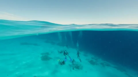 Half underwater view of group of divers in clear blue sea Video stock 327947490