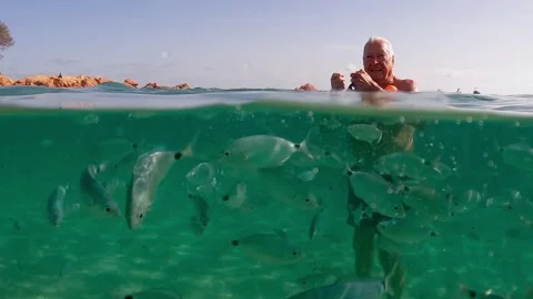 Half underwater view of man feeding fish with bread Stock Footage 280728291