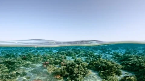 Half underwater view of shallow coral reef beneath calm ocean surface Stock Footage 324554573