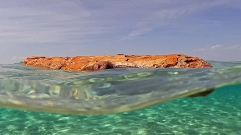 Half underwater view of tree trunk floating in clear sea Видео 279850093