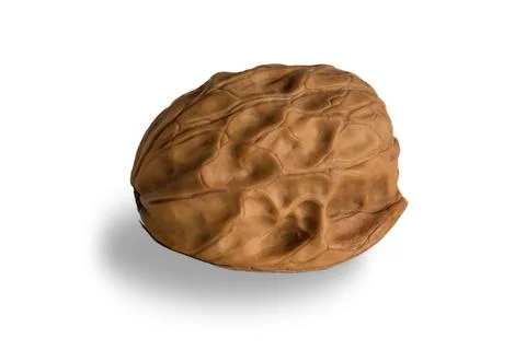Half a walnut close-up Stock Photos