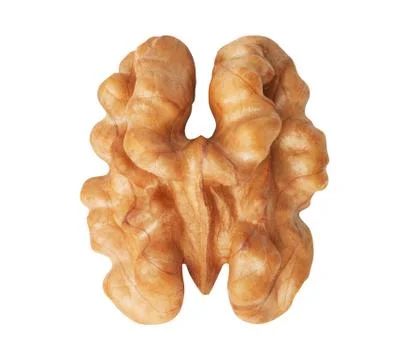 Half of walnut isolated Foto stock