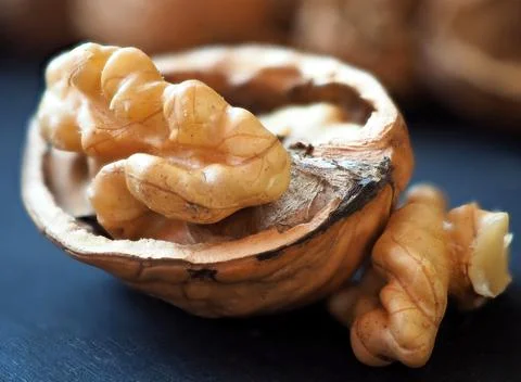 Half of a walnut with a kernel. Macro photography Stock-Fotos