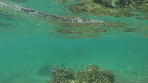 Half water split shot, Corals with Perhentian Island on the background, Malaysia Stock Footage 197575188