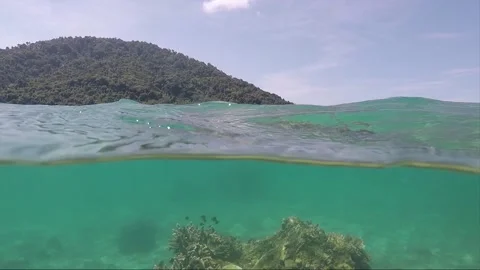 Half water split shot, Corals with Perhentian Island on the background, Malaysia Stock Footage 197575210