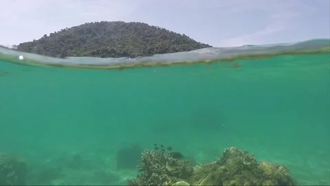 Half water split shot, Corals with Perhentian Island on the background, Malaysia Stock Footage 197575240