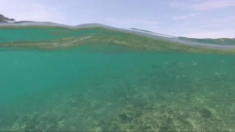 Half water split shot, School of Fish on Coral reef, Perhentian Island, Malaysia Stock Footage 197575746