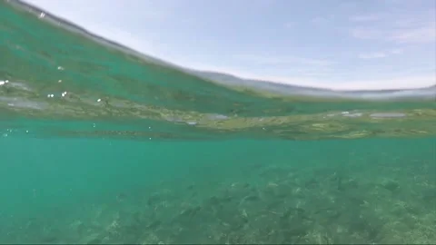 Half water split shot, School of Fish on Coral reef, Perhentian Island, Malaysia Stock Footage 197575936
