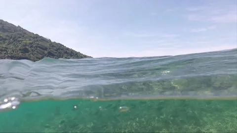Half water split shot, School of Fish on Coral reef, Perhentian Island, Malaysia Stock Footage 197576038