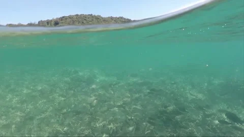 Half water split shot, School of Fish on Coral reef, Perhentian Island, Malaysia Stock Footage 197586929