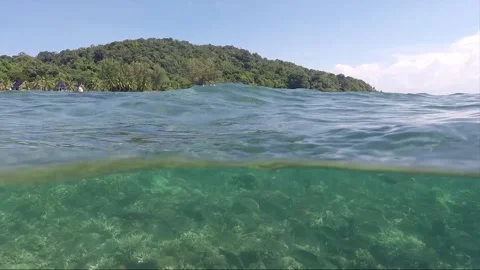 Half water split shot, School of Fish on Coral reef, Perhentian Island, Malaysia Video stock 197587146