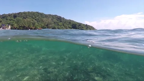 Half water split shot, School of Fish on Coral reef, Perhentian Island, Malaysia Stock Footage 197587213