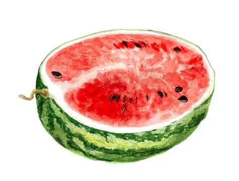 Half of watermelon Stock Illustration