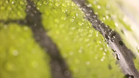 Half watermelon pulp (4) Stock Footage 202153658