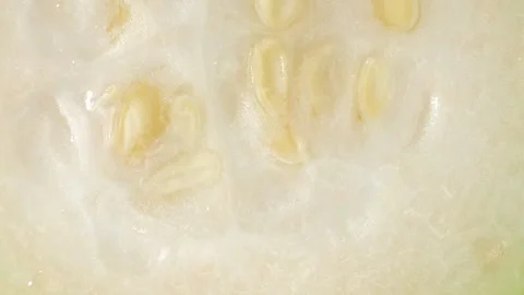 Half wax gourd macro video showcases the intricate details Stock Footage 244801067