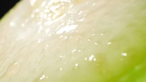 Half wax gourd macro video showcases the intricate details Stock Footage 244801091