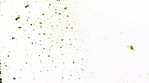 Half Way Wipe 스톡 동영상 105202