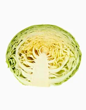 Half a white cabbage Stock Photos