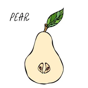 Half of Yellow Pear and Leaf. Fresh Fruit Nutrition Diet. Autumn or Fall Vege Stock Illustration