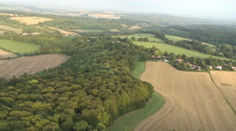 Halfridge wood Bix-Progressive Video stock 30482612