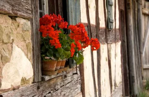 Halftimbered Stock Photos