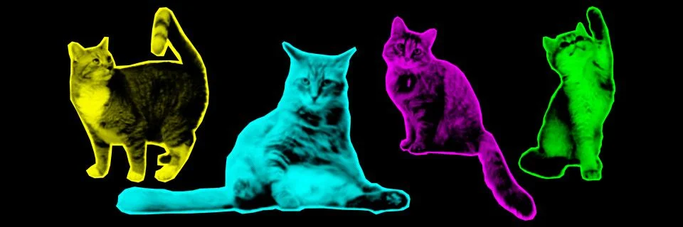 Halftone collage design elements in trendy magazine style. Cat heads. Vector  Stockillustratie