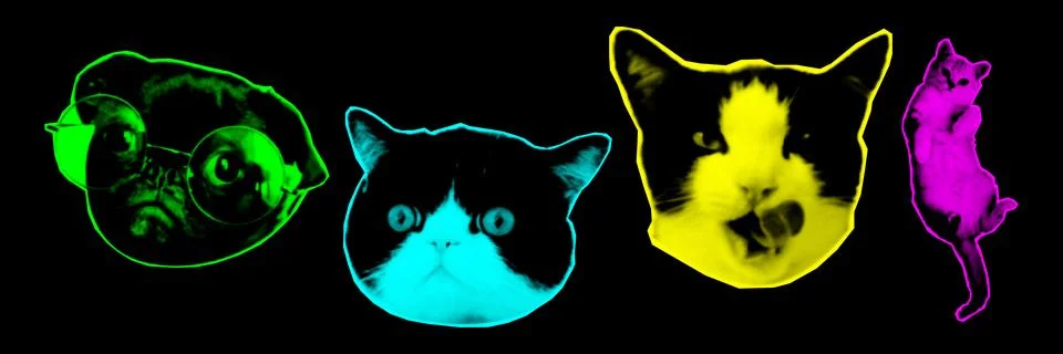 Halftone collage design elements in trendy magazine style. Cat heads. Vector  Stock Illustration