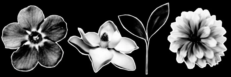 Halftone collage design elements in trendy magazine style. Flower. Vector i.. Illustrazione stock