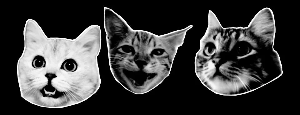 Halftone collage design elements in trendy magazine style. Cat heads. Vecto.. 스톡 일러스트