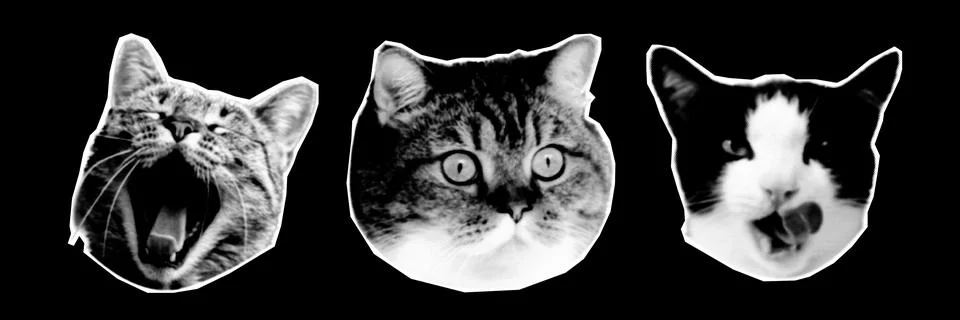 Halftone collage design elements in trendy magazine style. Cat heads. Vector  イラスト素材