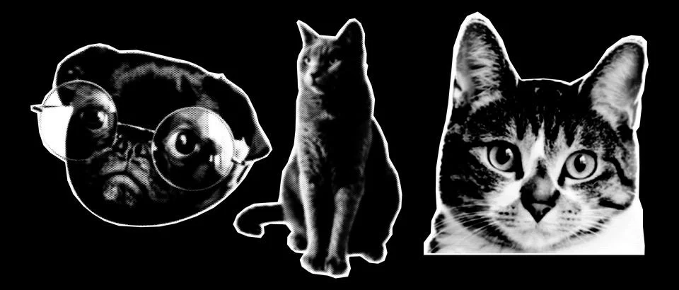 Halftone collage design elements in trendy magazine style. Cat heads. Vector  Illustrazione stock