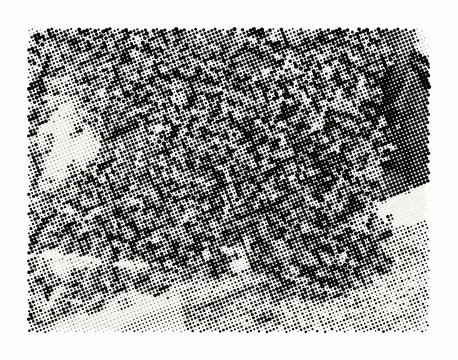 Halftone dot pattern background. Black and white abstract texture with dist.. Stock Illustration