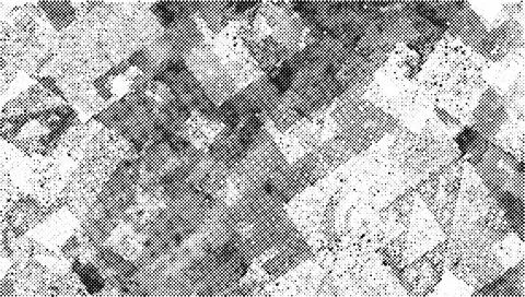 Halftone dotted background. Halftone effect vector pattern. Circle dots isolated Stock Illustration