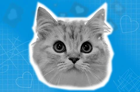 Halftone effect funny cat heads on blue paper background. Trendy retro pet .. Stock Photos