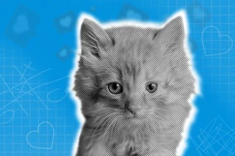 Halftone effect funny cat heads on blue paper background. Trendy retro pet .. Stock Photos